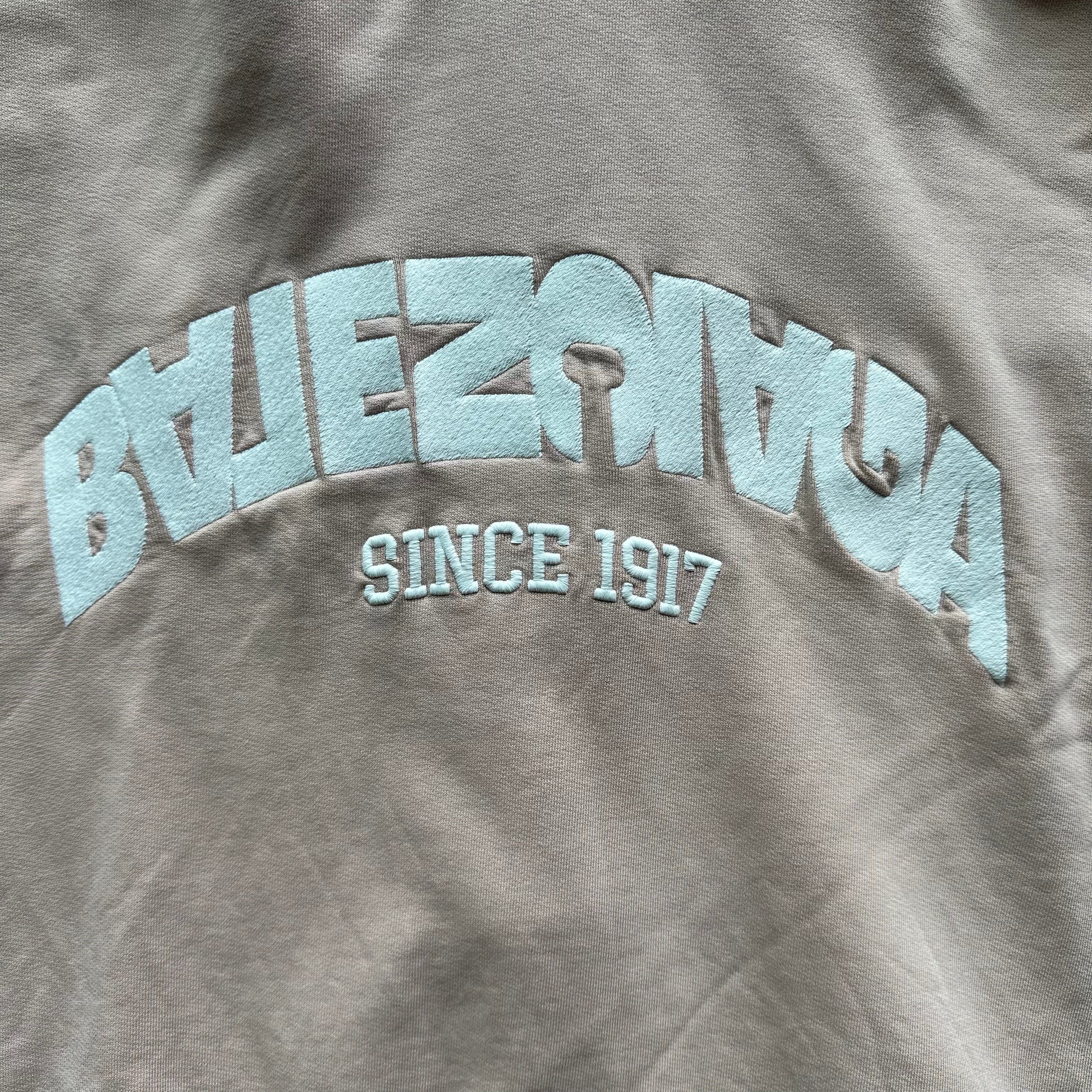 XL Pink Balenciaga Backflip Hoodie