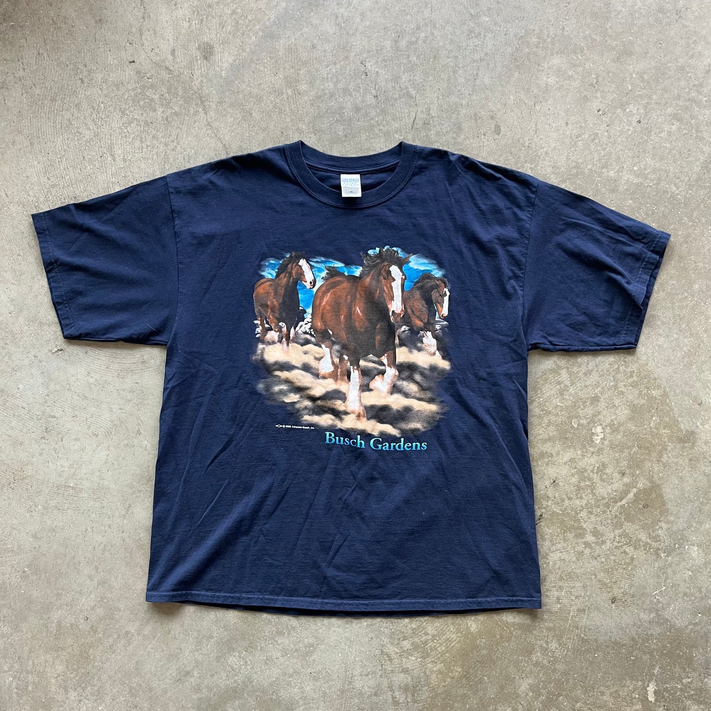 XXL 03 Busch Gardens Tee