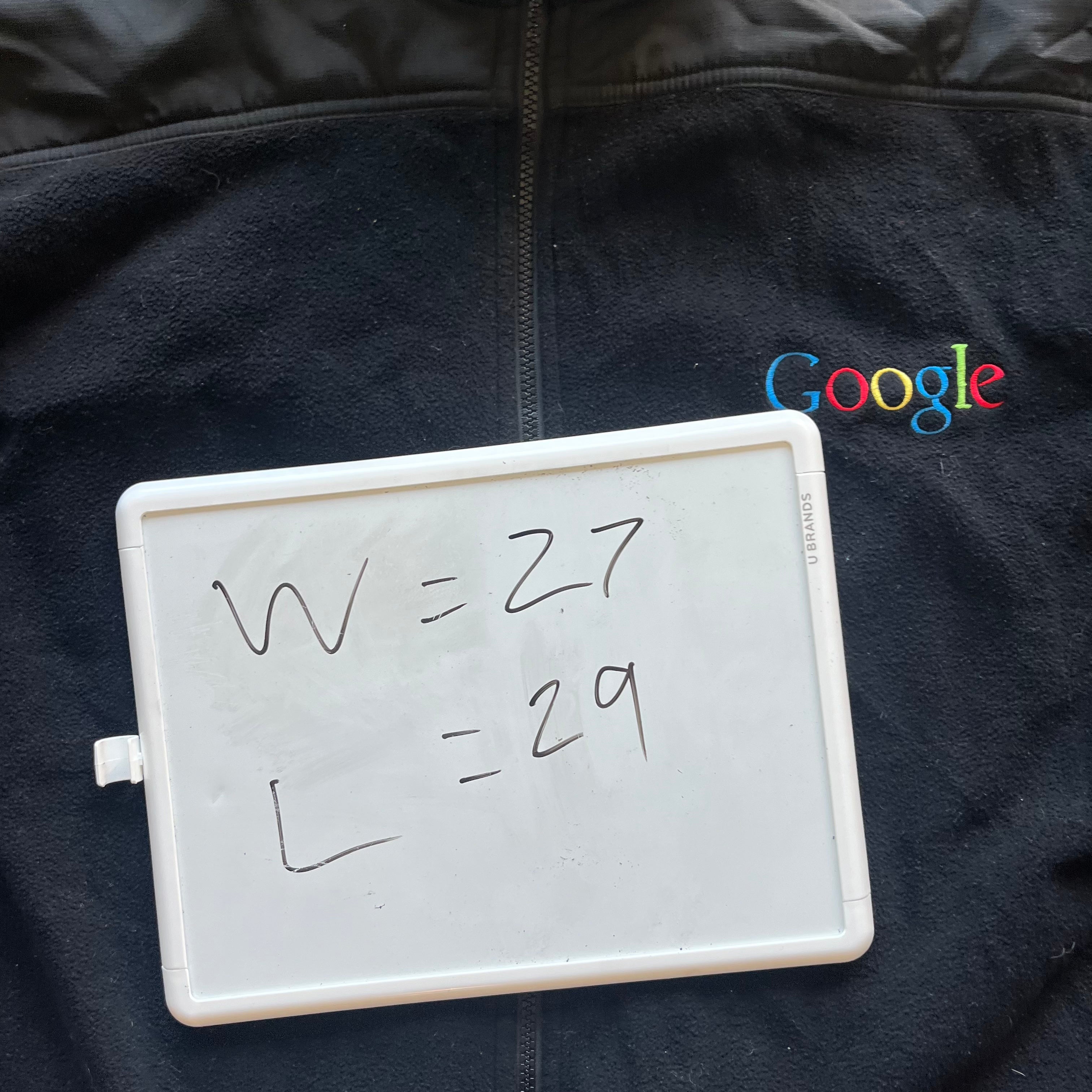 XL 00s Google Fleece Vest