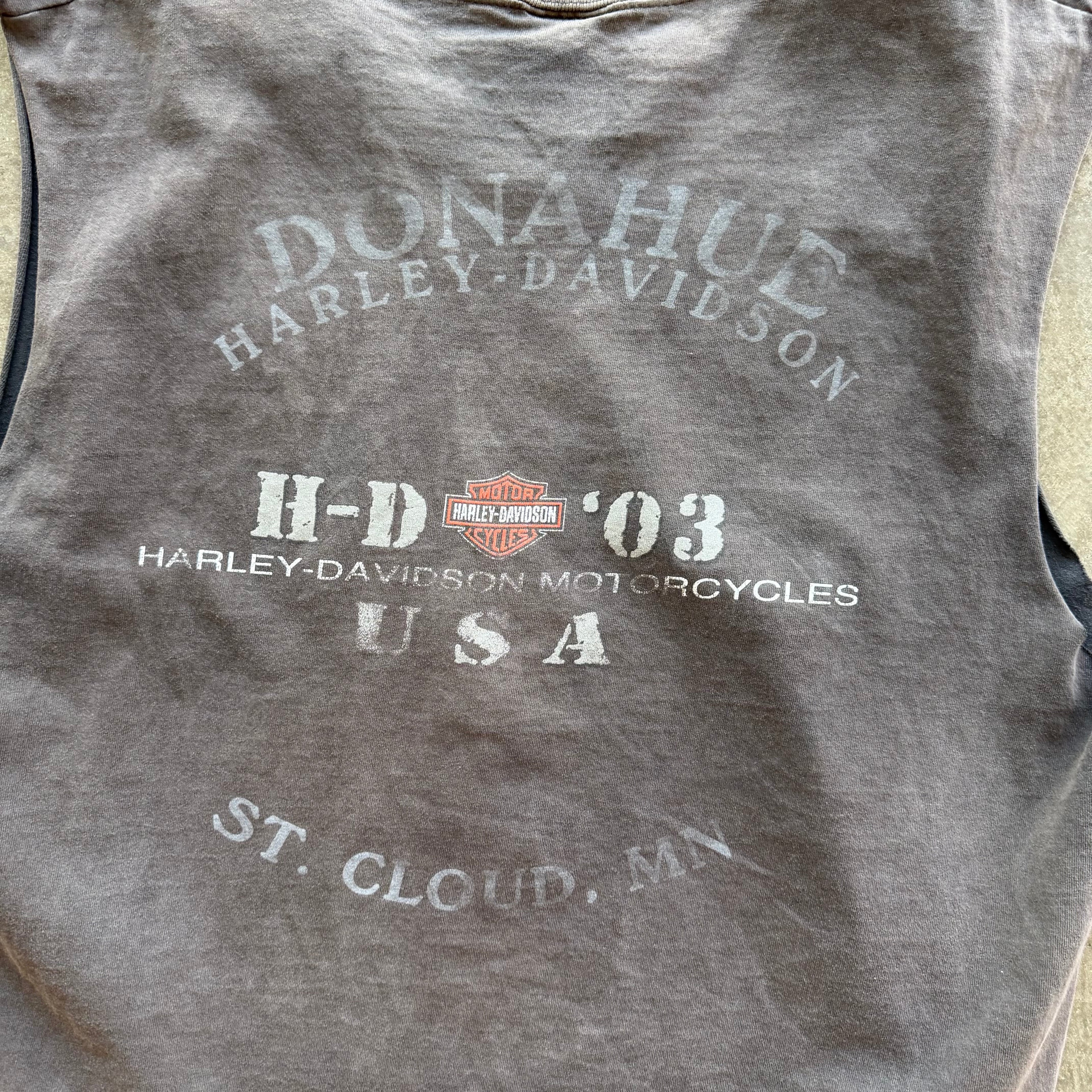 XL 03 Harley Davidson Cutoff