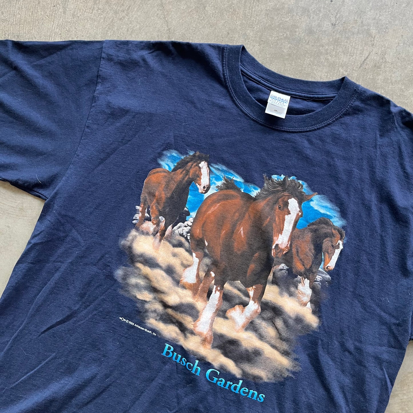 XXL 03 Busch Gardens Tee