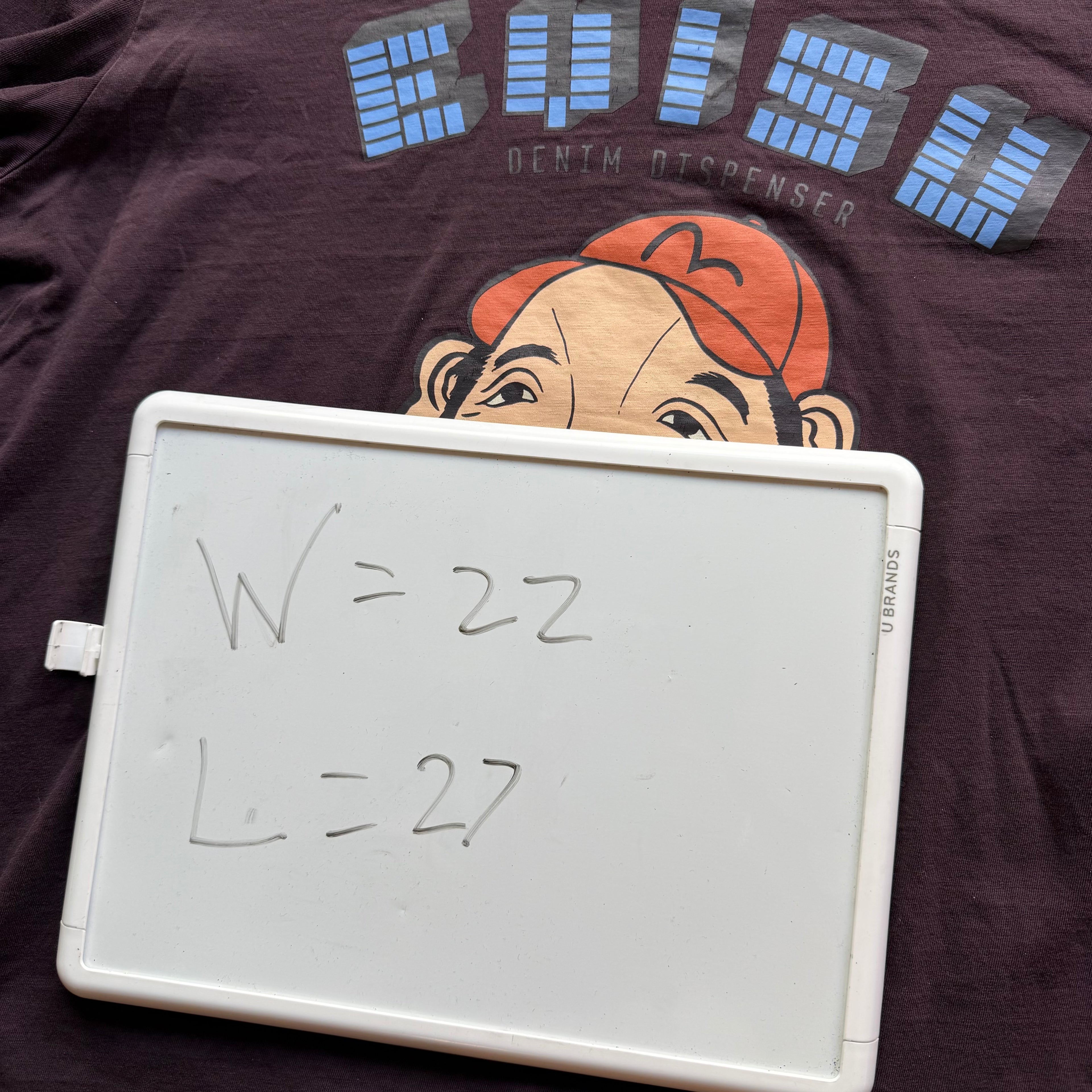 L Faded Evisu Longsleeve