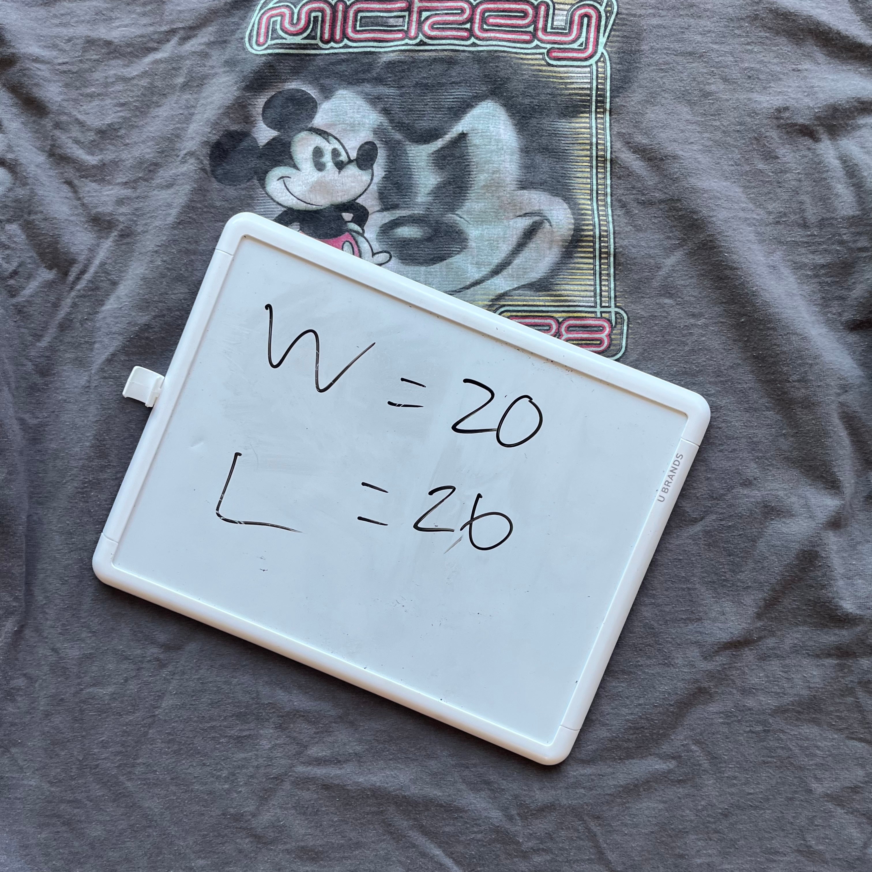 L 00s Disney Longsleeve