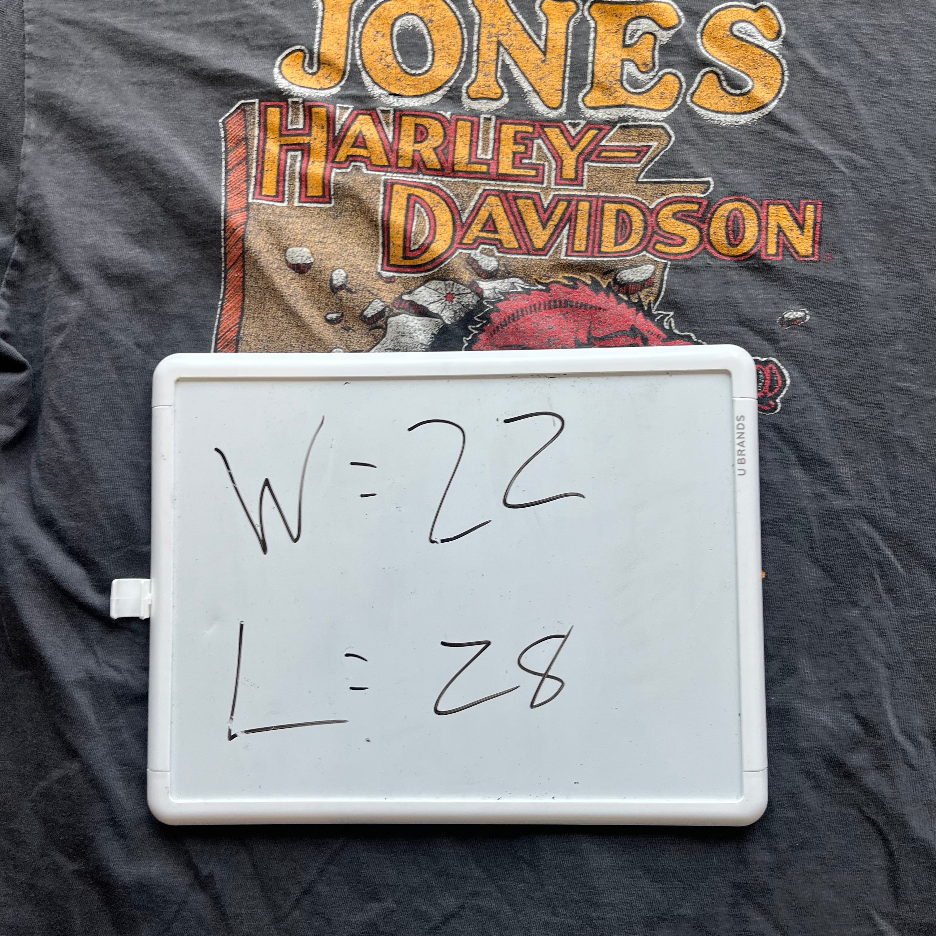 XL 90s Arkansas Harley Tee