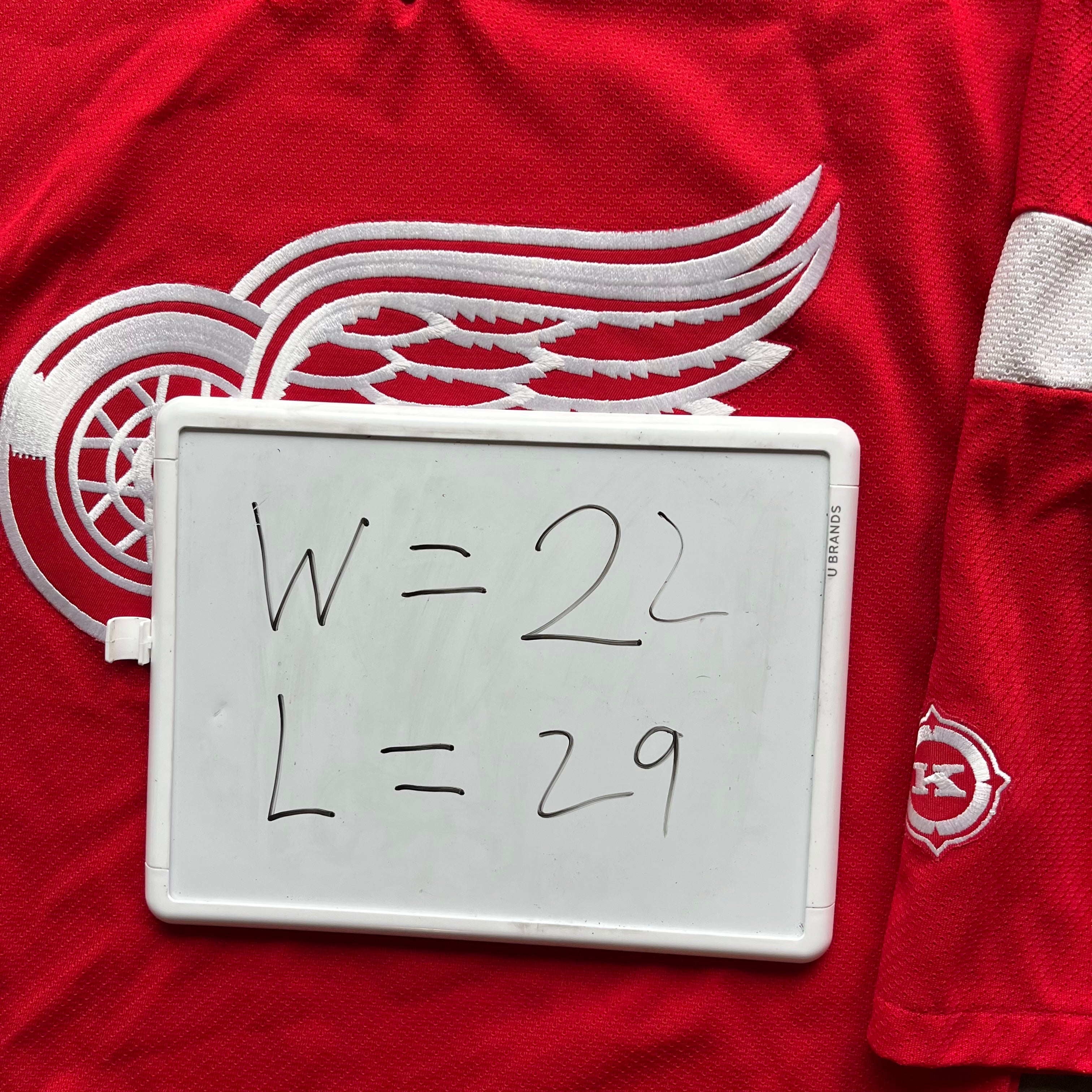 L 90s Detroit Red Wings Crewneck