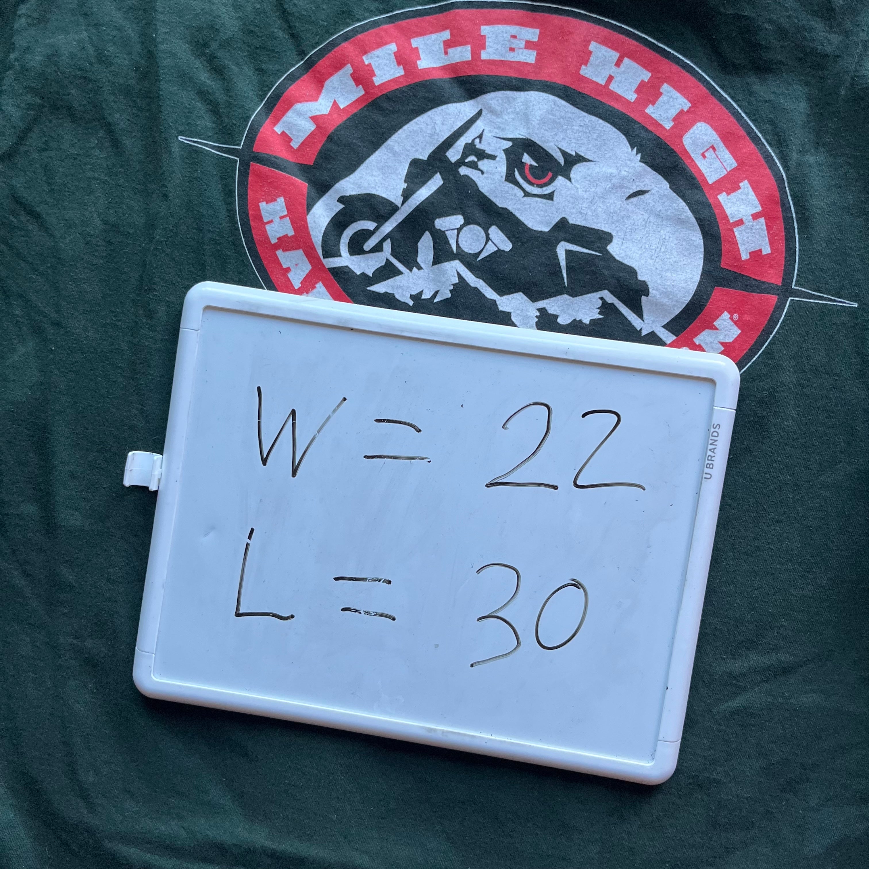 XL 00s Colorado Harley Tee