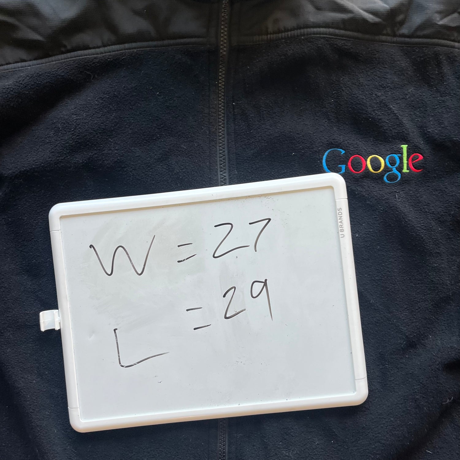 XL 00s Google Fleece Vest