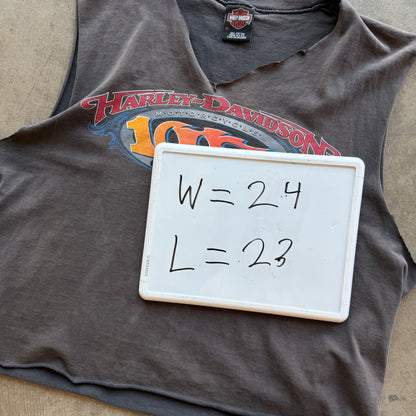 XL 03 Harley Davidson Cutoff