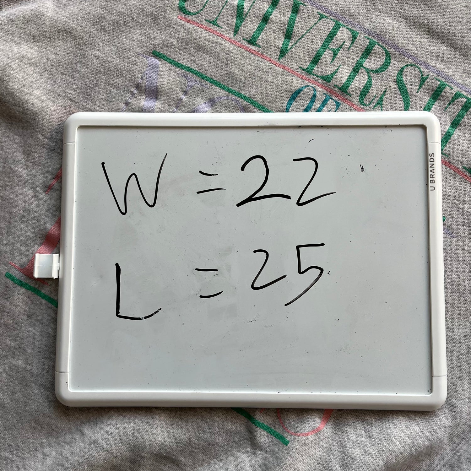 XL 90s UNT Crewneck