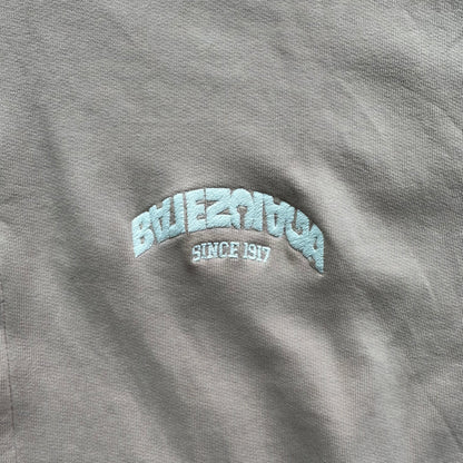 XL Pink Balenciaga Backflip Hoodie