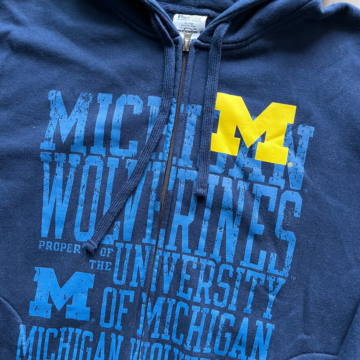 XL 00s Michigan Hoodie