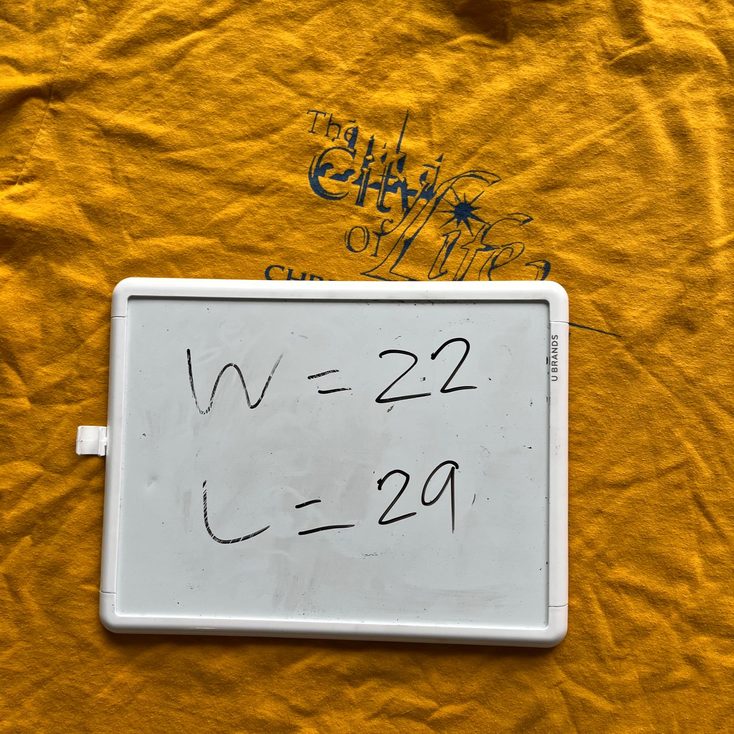 XL Vintage Jesus Tee