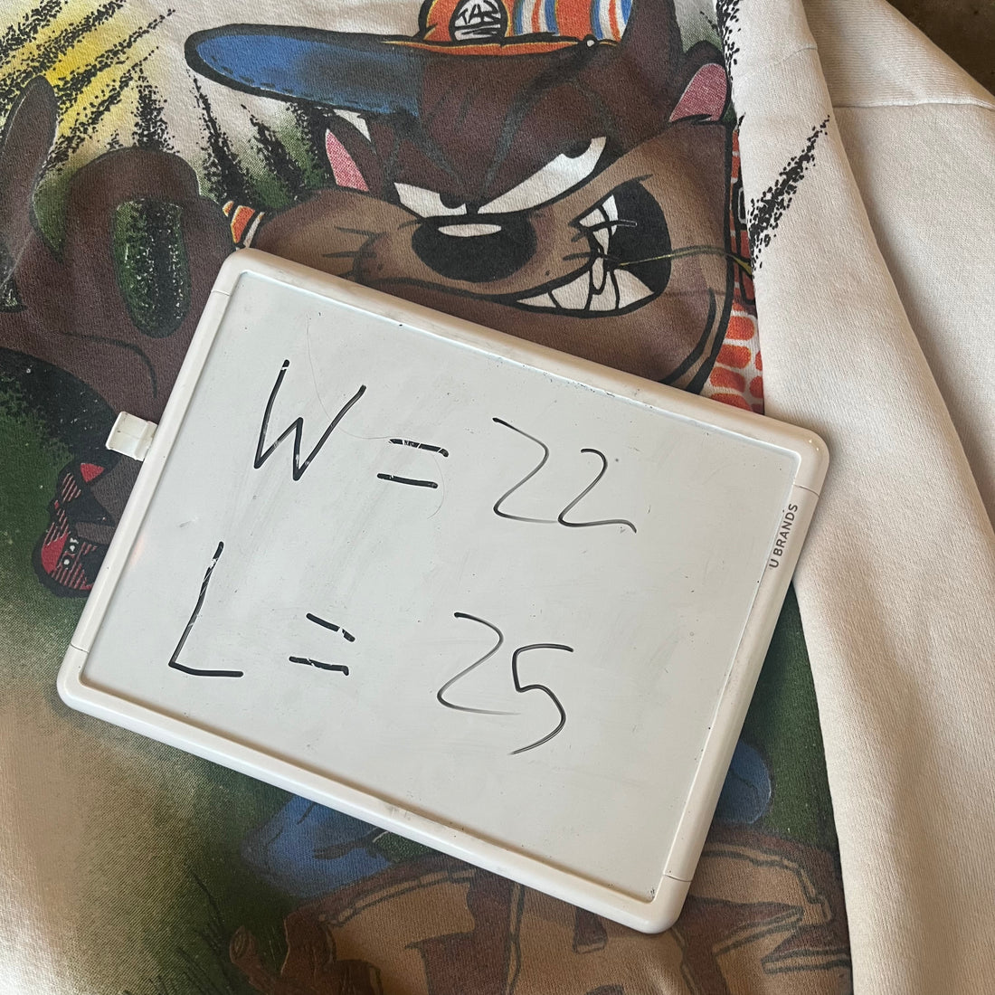 L 95 Taz Rough and Rugged Crewneck