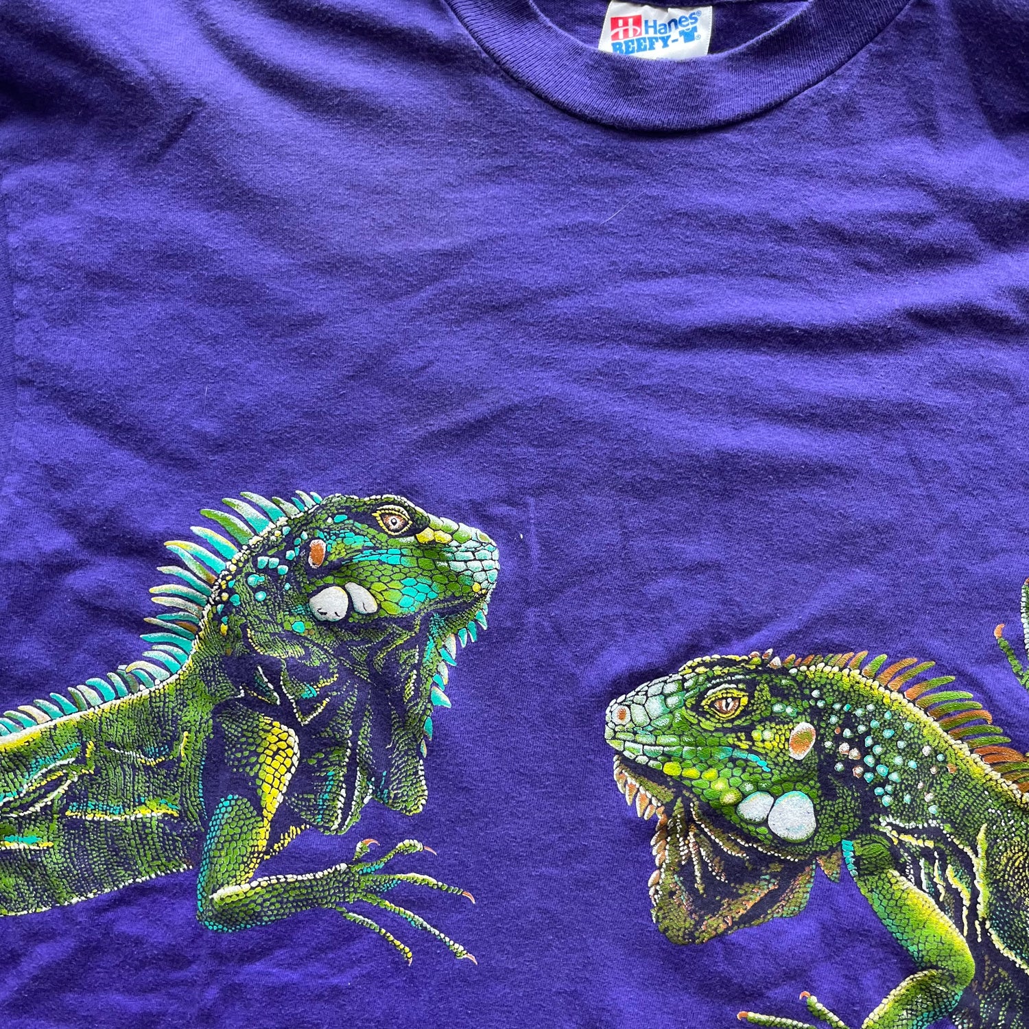 L 90s Iguana Tee