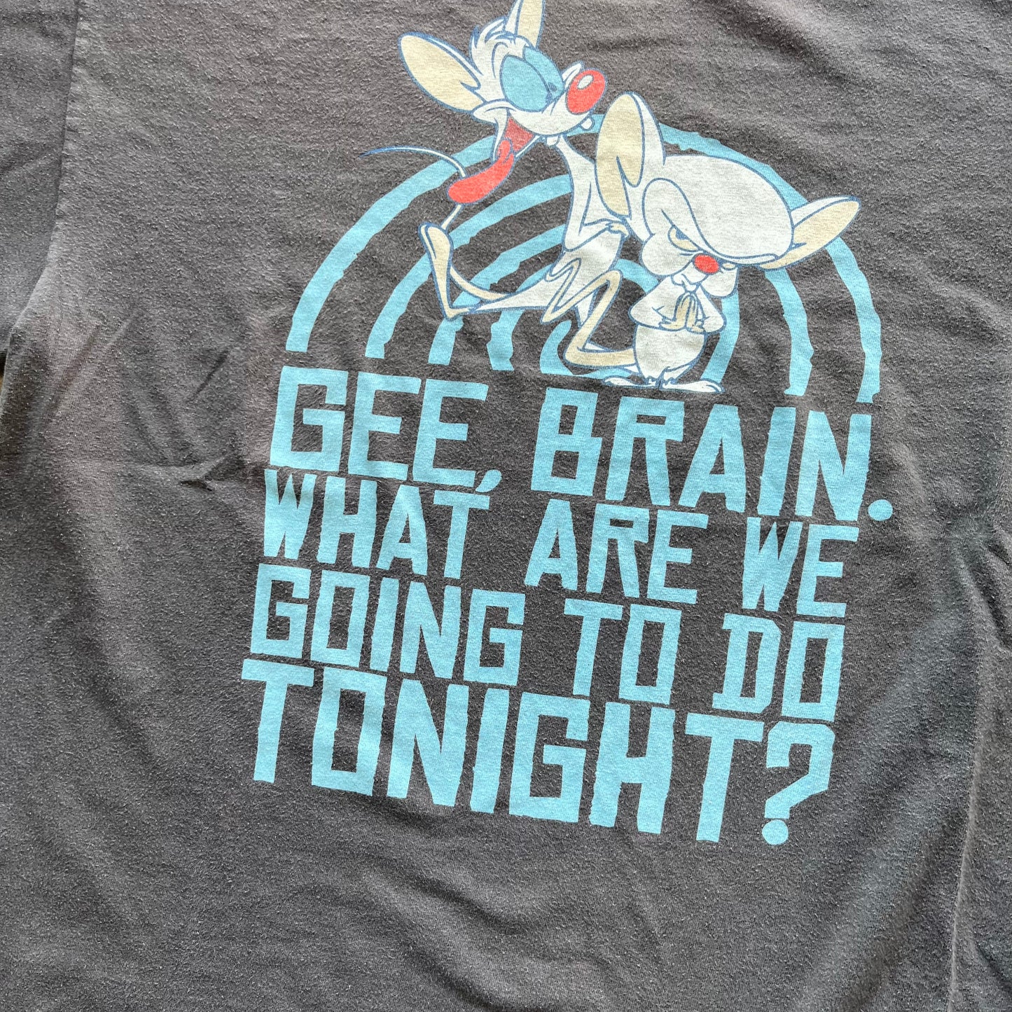 L 07 Pinky & The Brain Tee