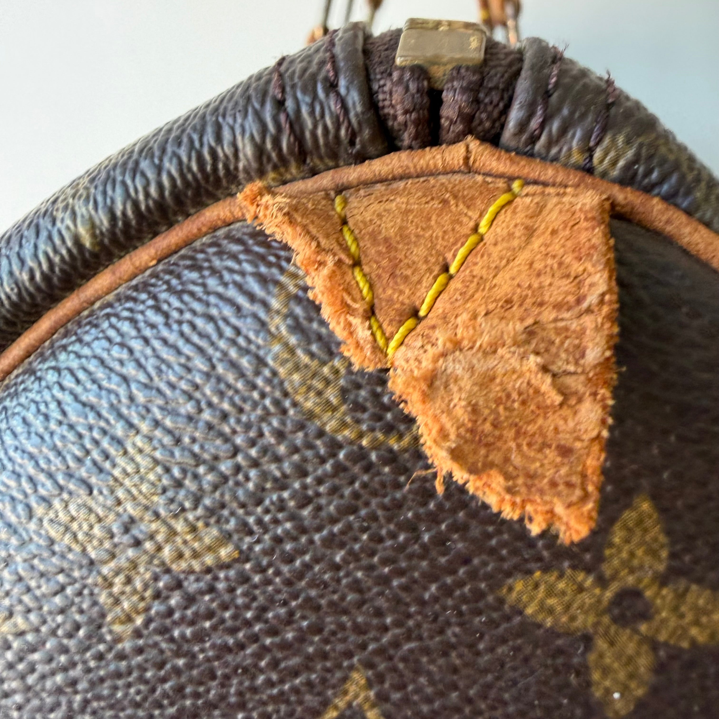 Louis Vuitton Speedy 35