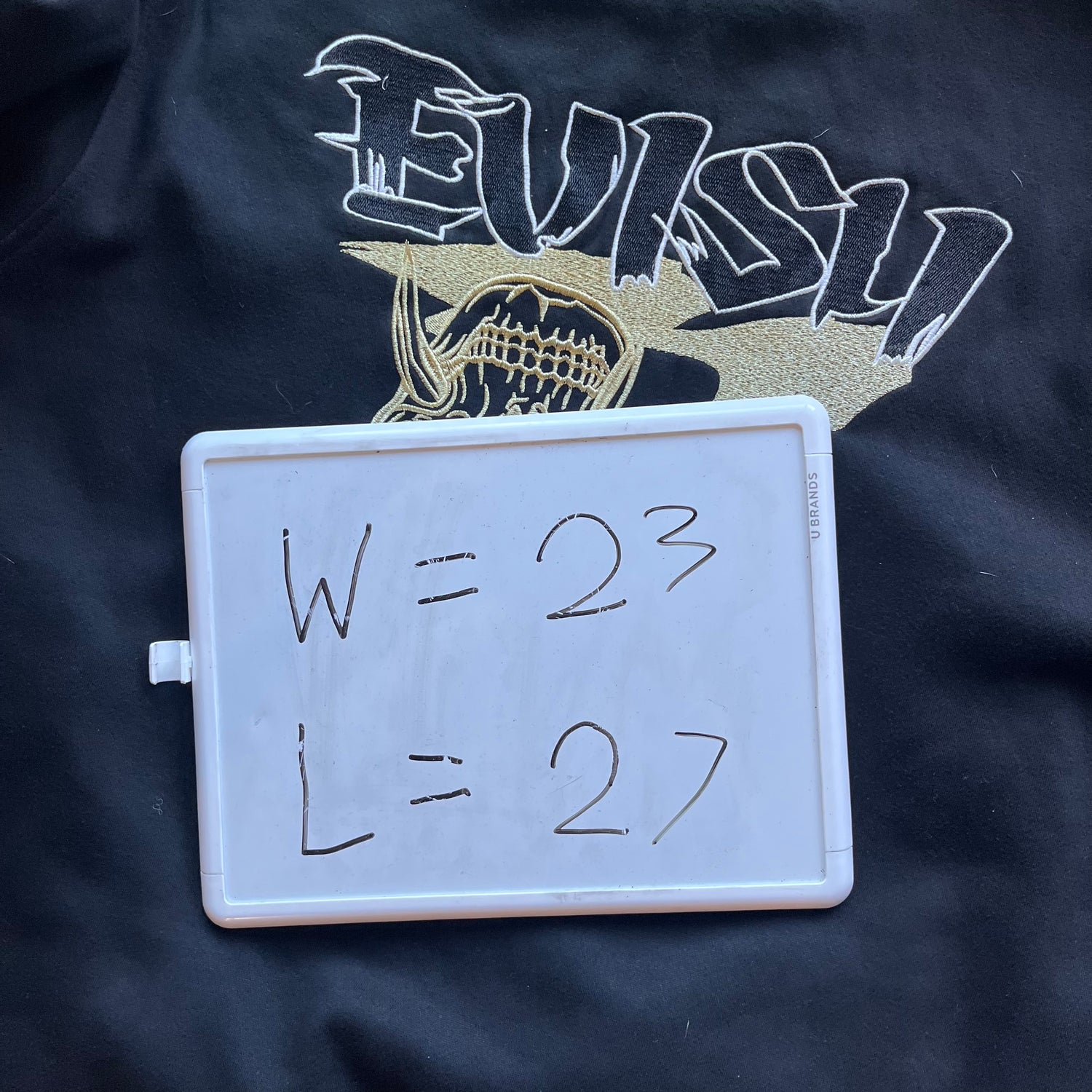 L Faded Evisu Kuro Hoodie
