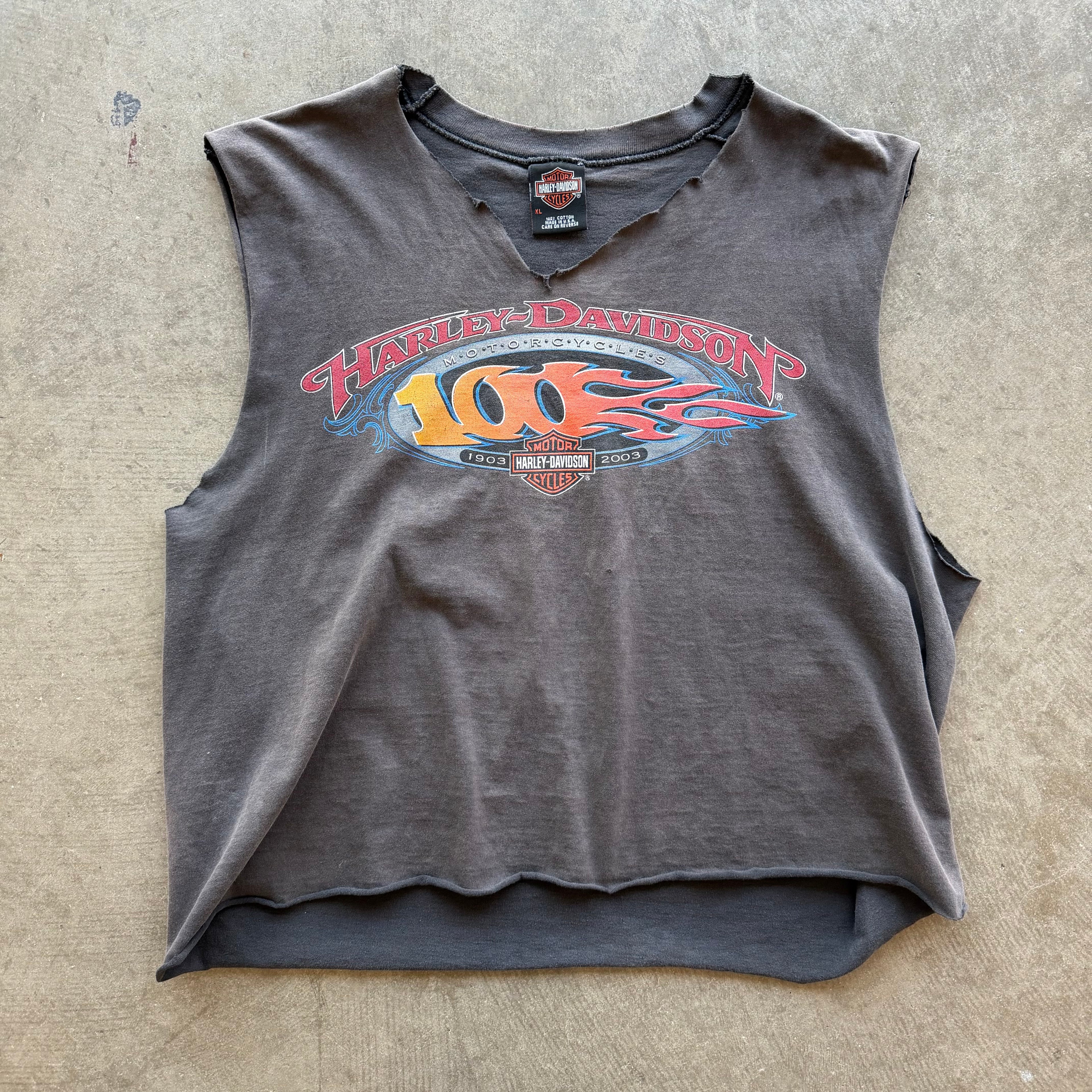 XL 03 Harley Davidson Cutoff
