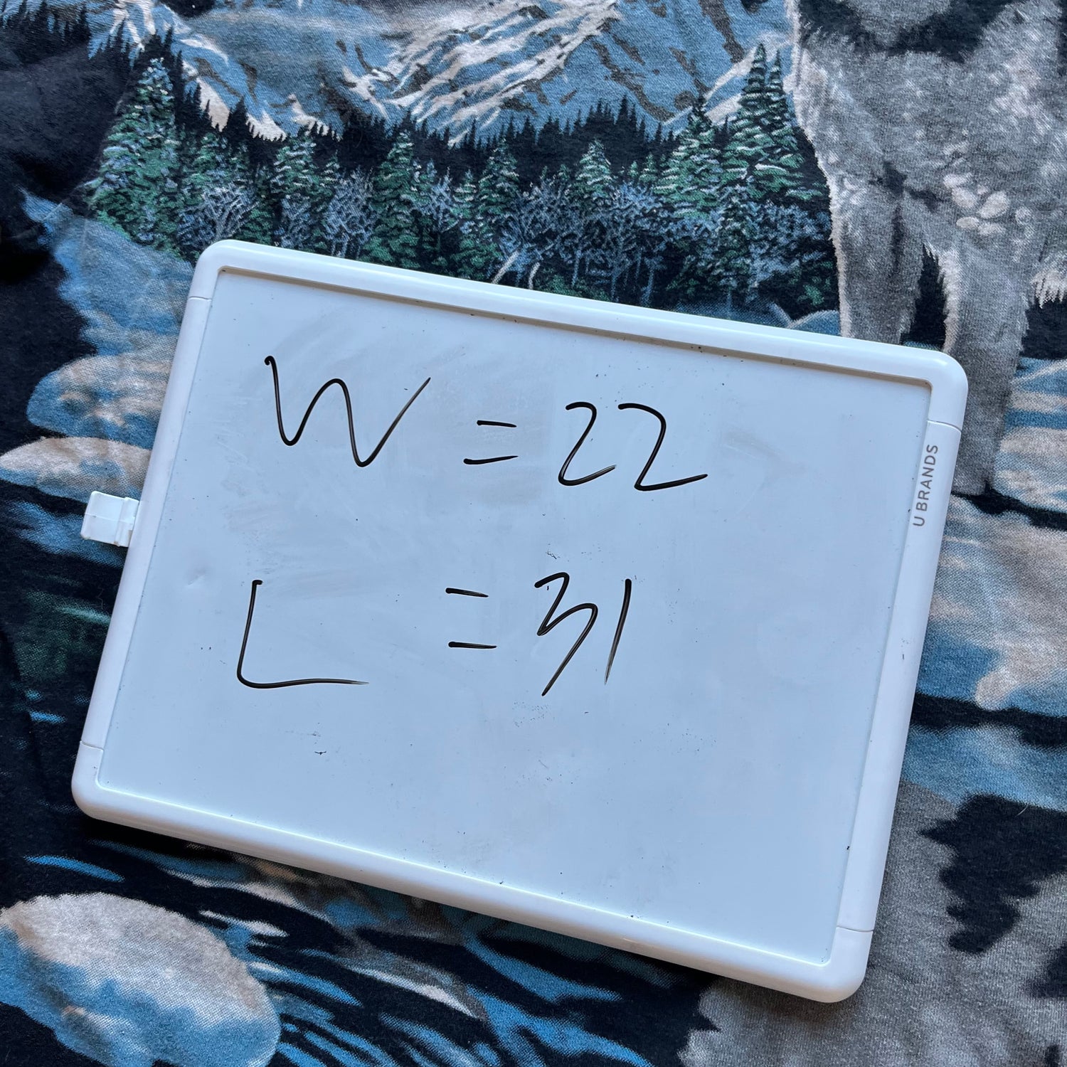 XL 95 Liquid Blue Wolf Tee