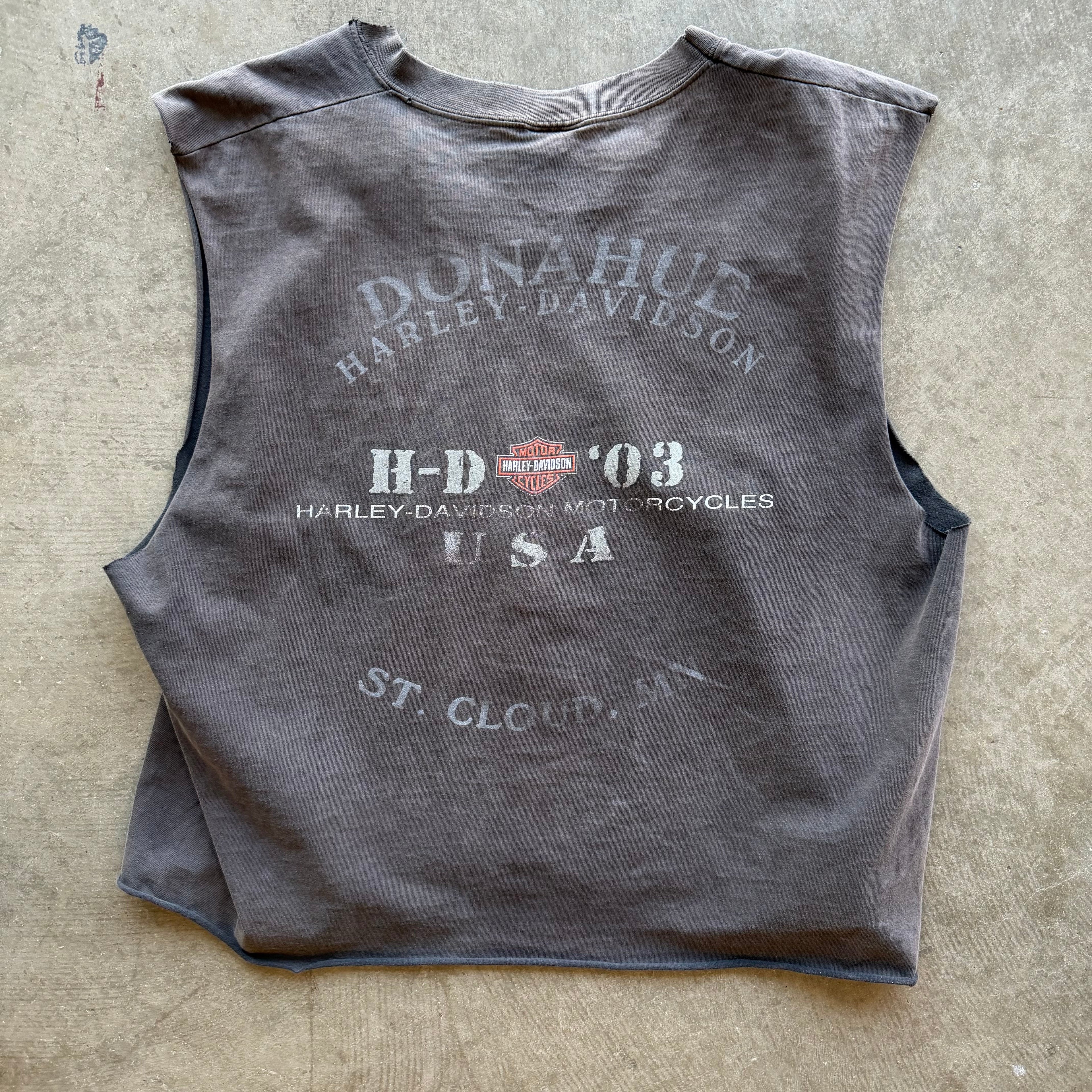 XL 03 Harley Davidson Cutoff