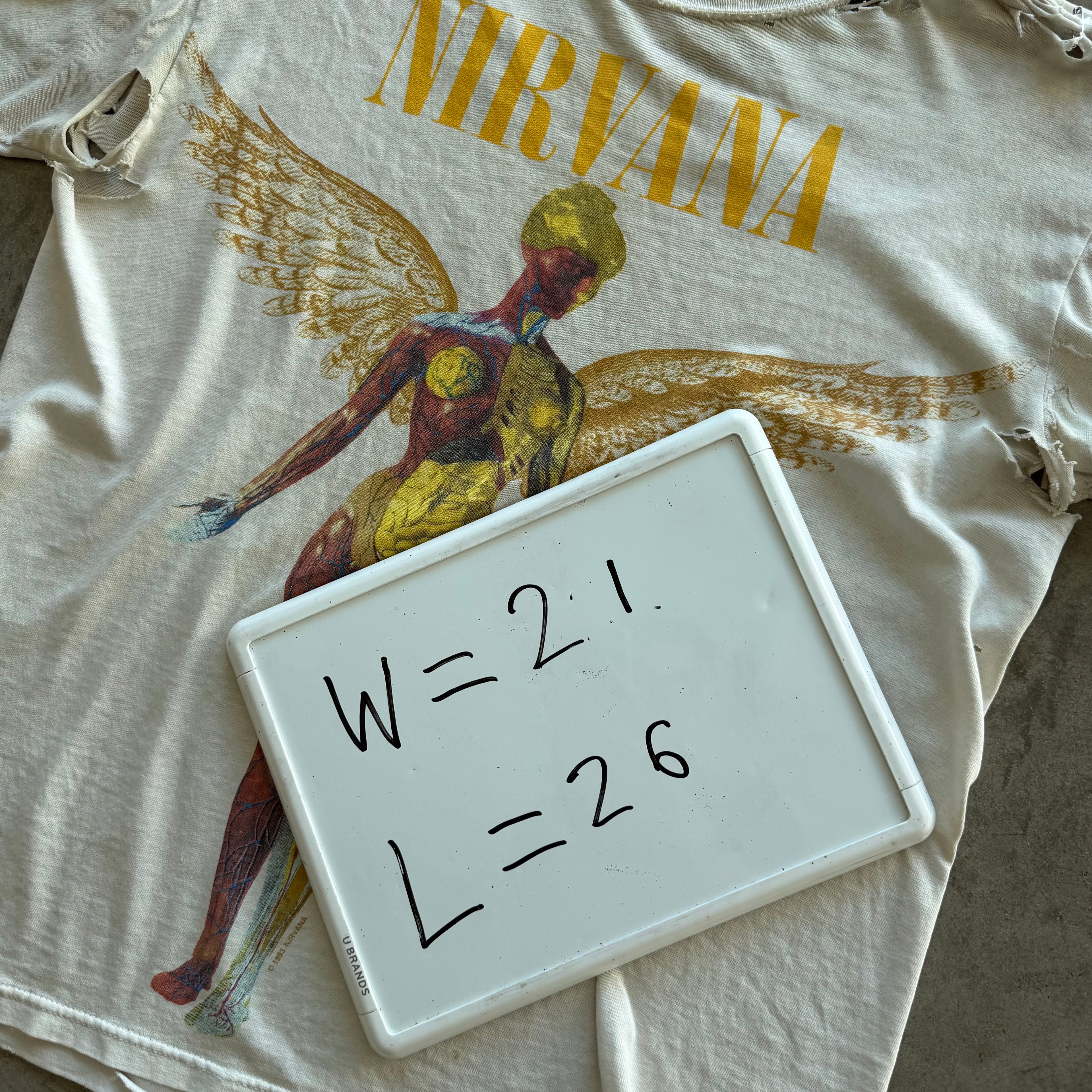 L 00s Thrashed Nirvana In Utero