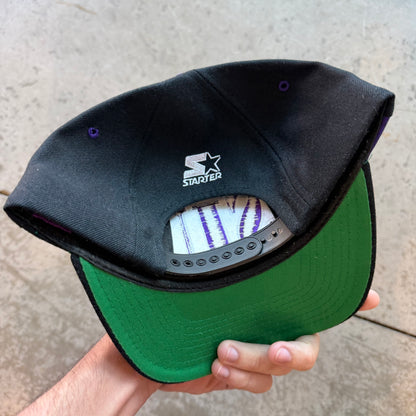 90s Pheonix Suns SnapBack